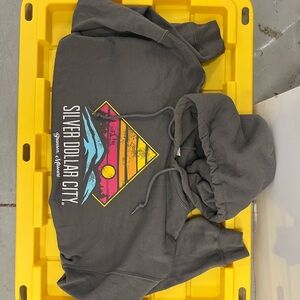 Gray Silver Dollar City Hoodie